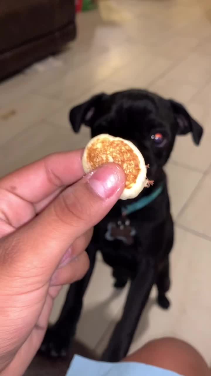 @Benji The Pug