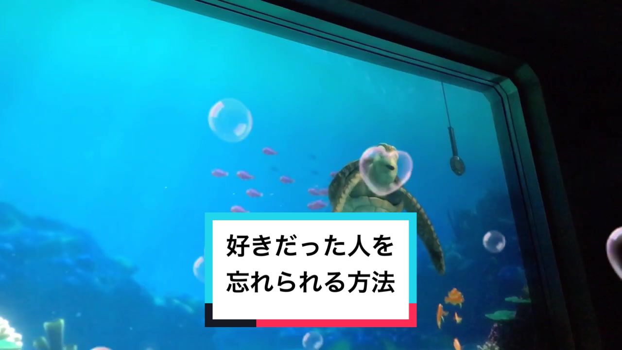 @さとっぴ