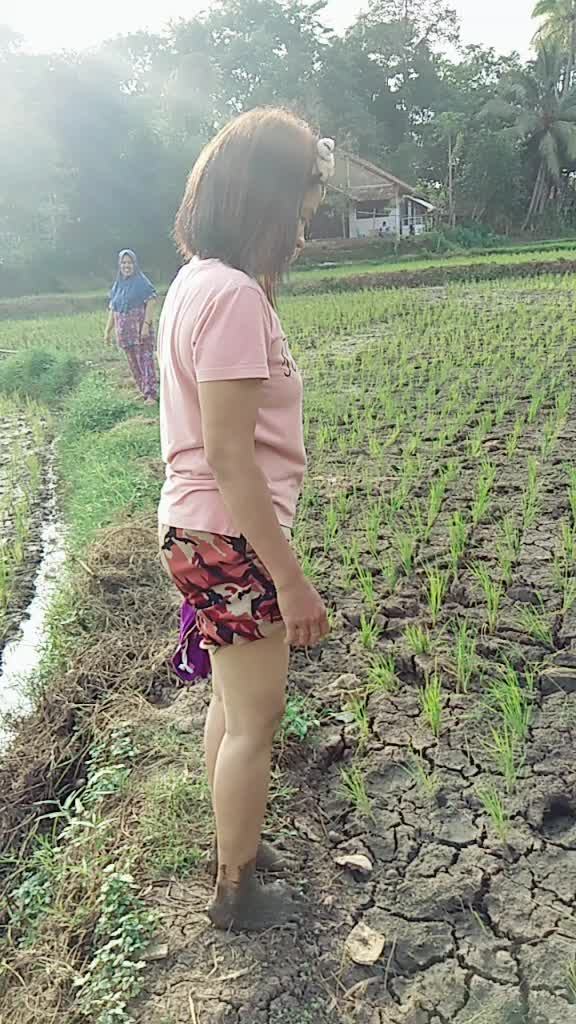 @Fitri Minang Banten