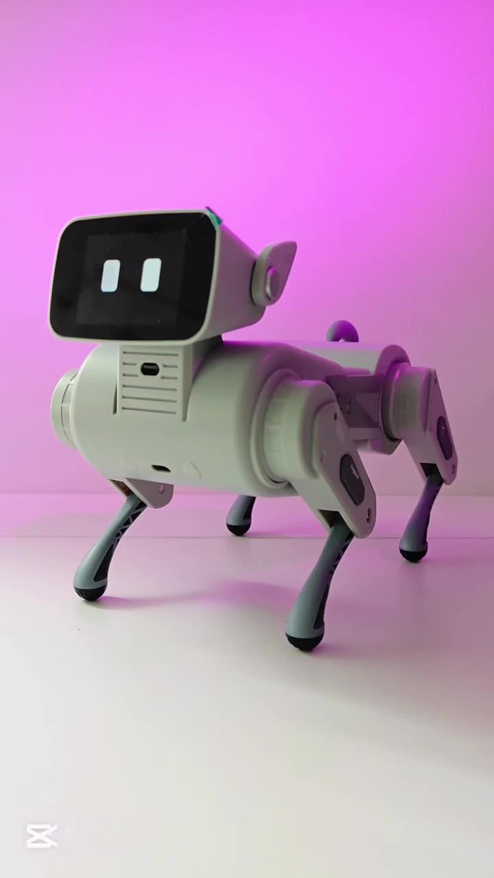 @Living with Robots
