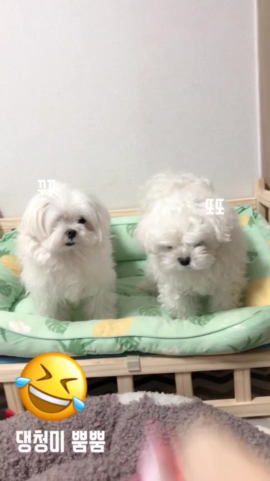 @또꾸네