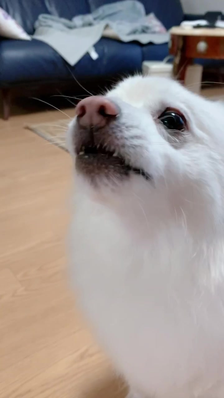 @์๋ Schnee