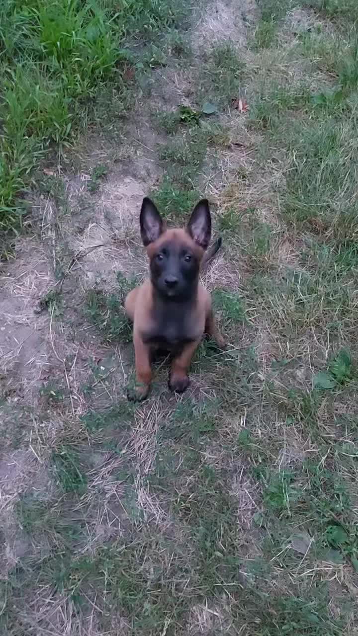 @Саша і Річард