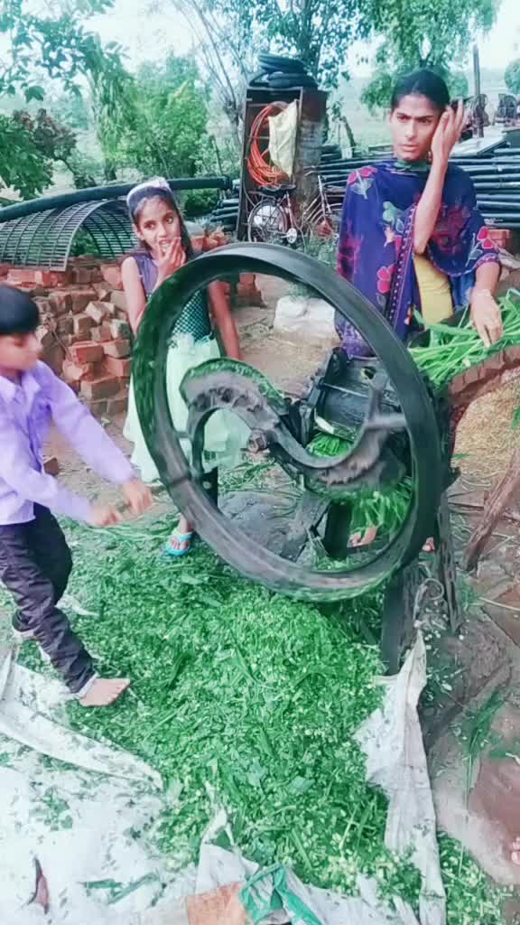 @bhai bahan