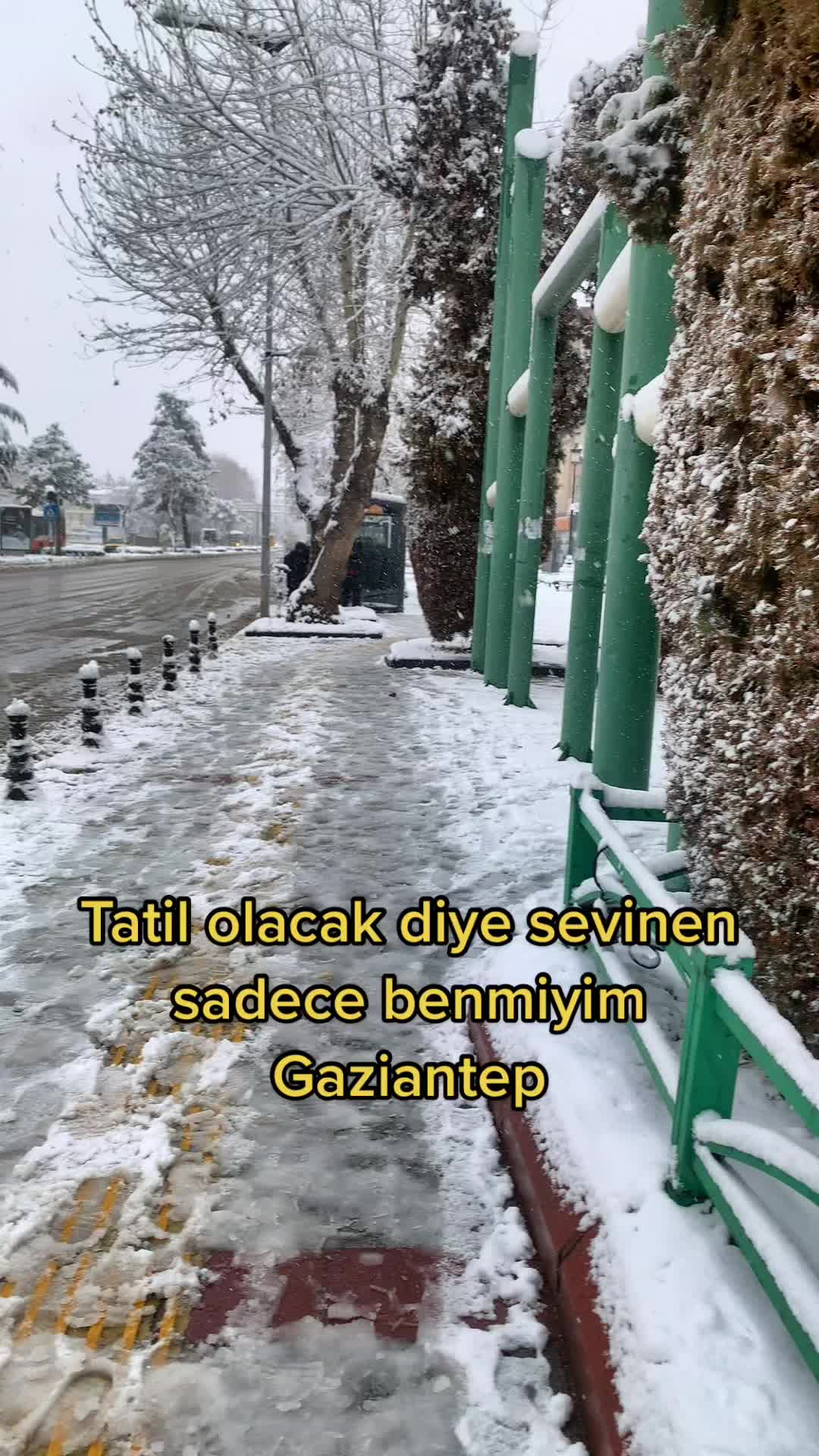 @Mustafa Pektaş