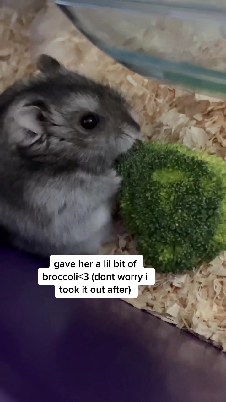 @mabel <3