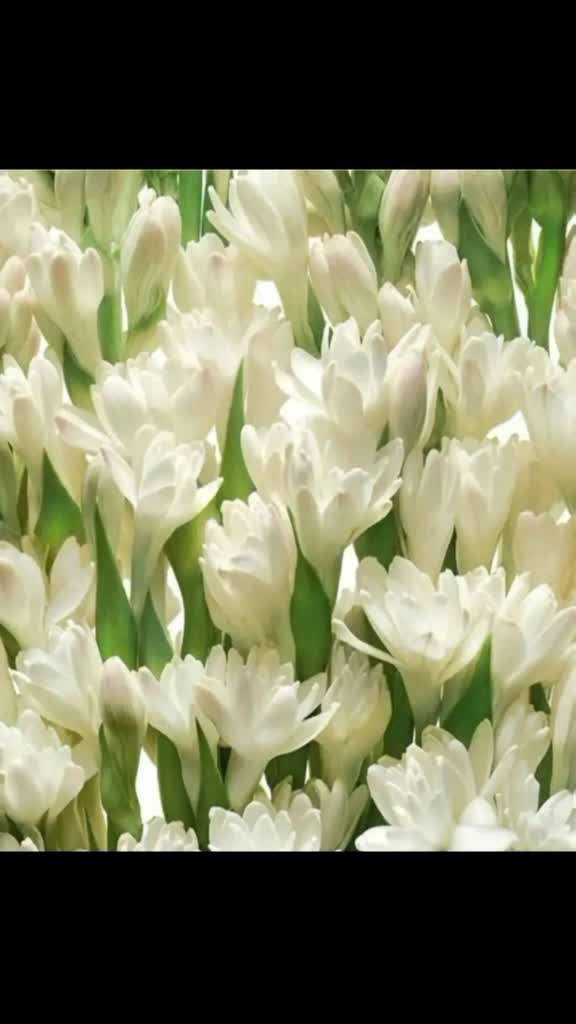 @Farhan62