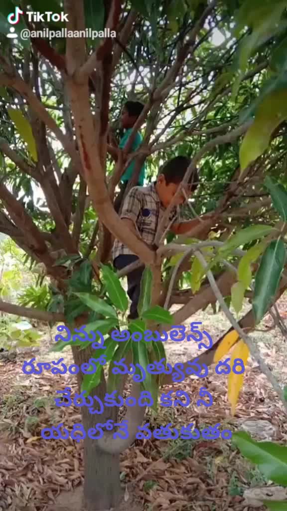 @Anilpalla-official
