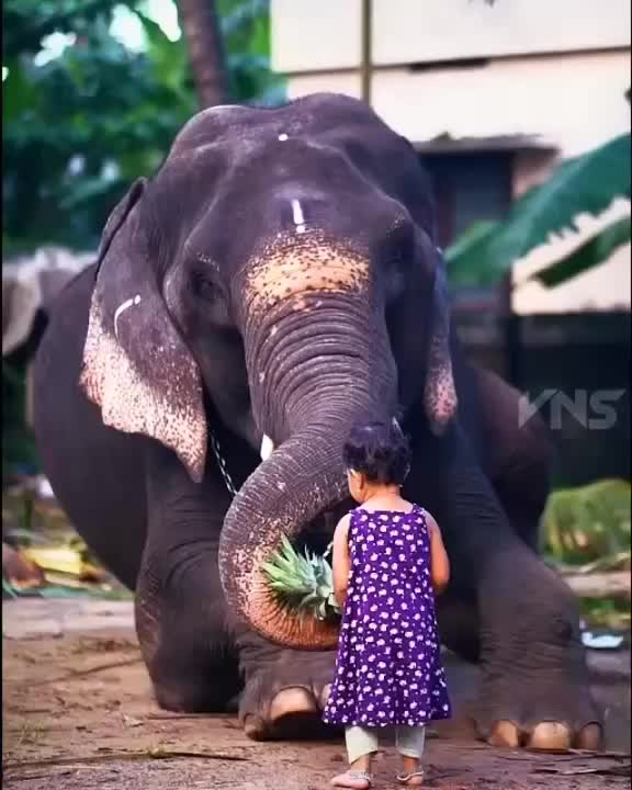@SuJith DeArz