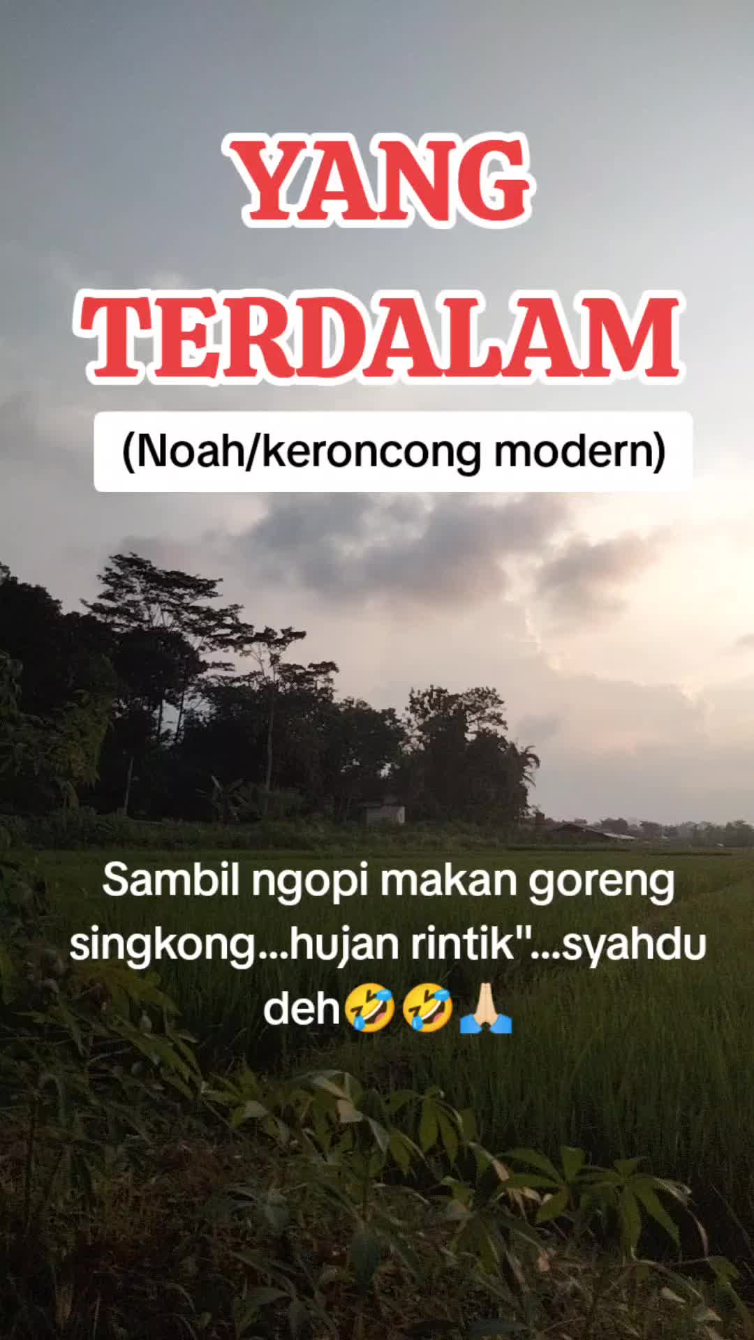 @rostikanoor
