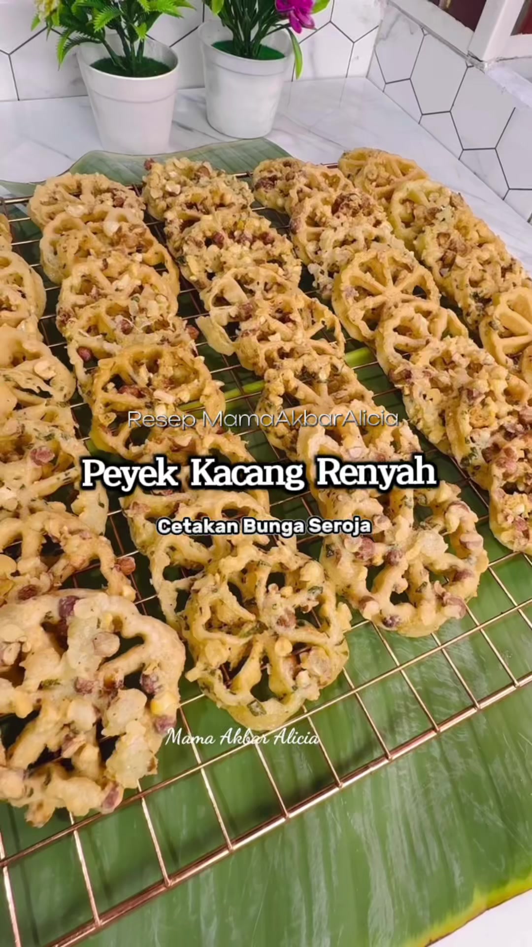 @Mama Akbar Alicia