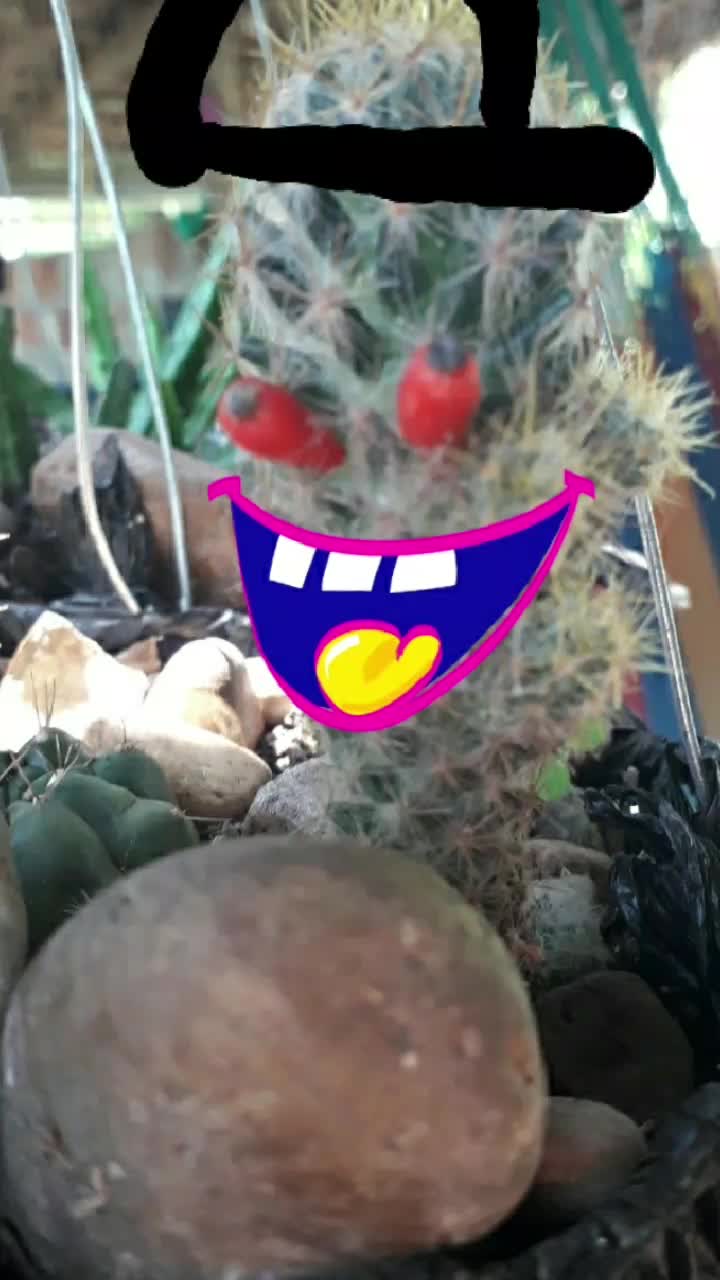 @kathyortiz97