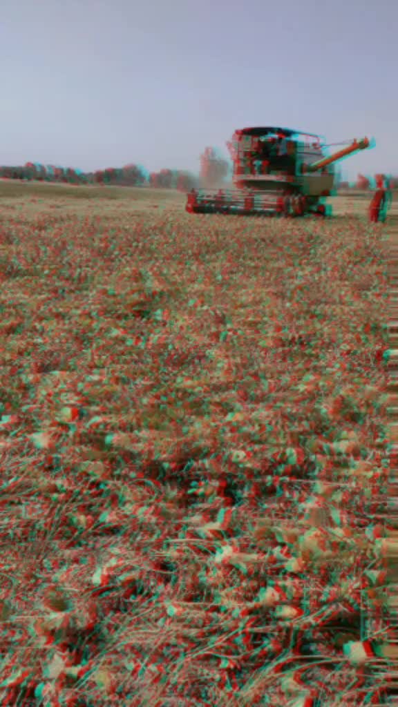 @₳$ĦɄ₮Ø$Ħ_₱₳₦₩₳Ɍ ಠ_ಠ