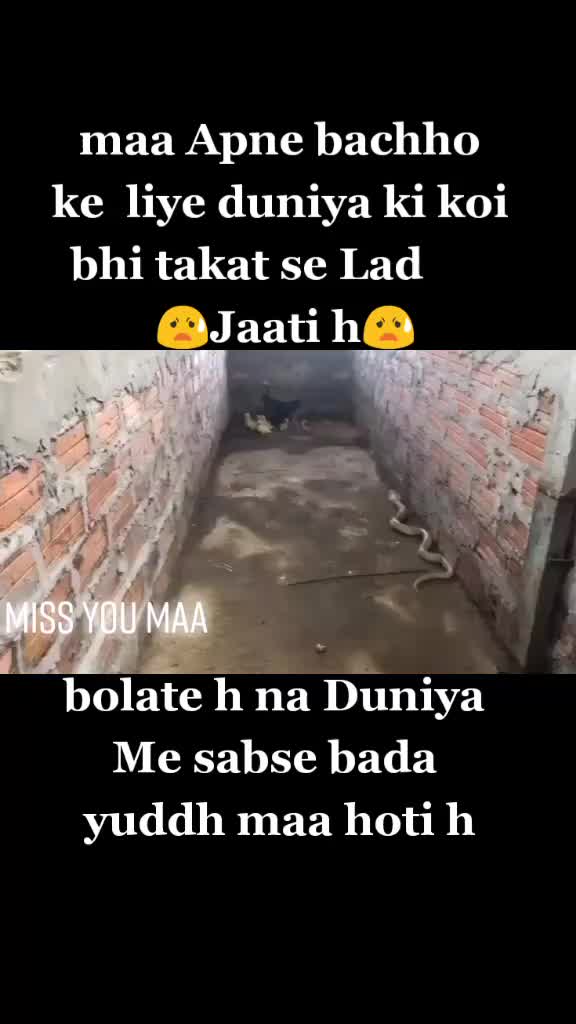 @murlidhar verma39208