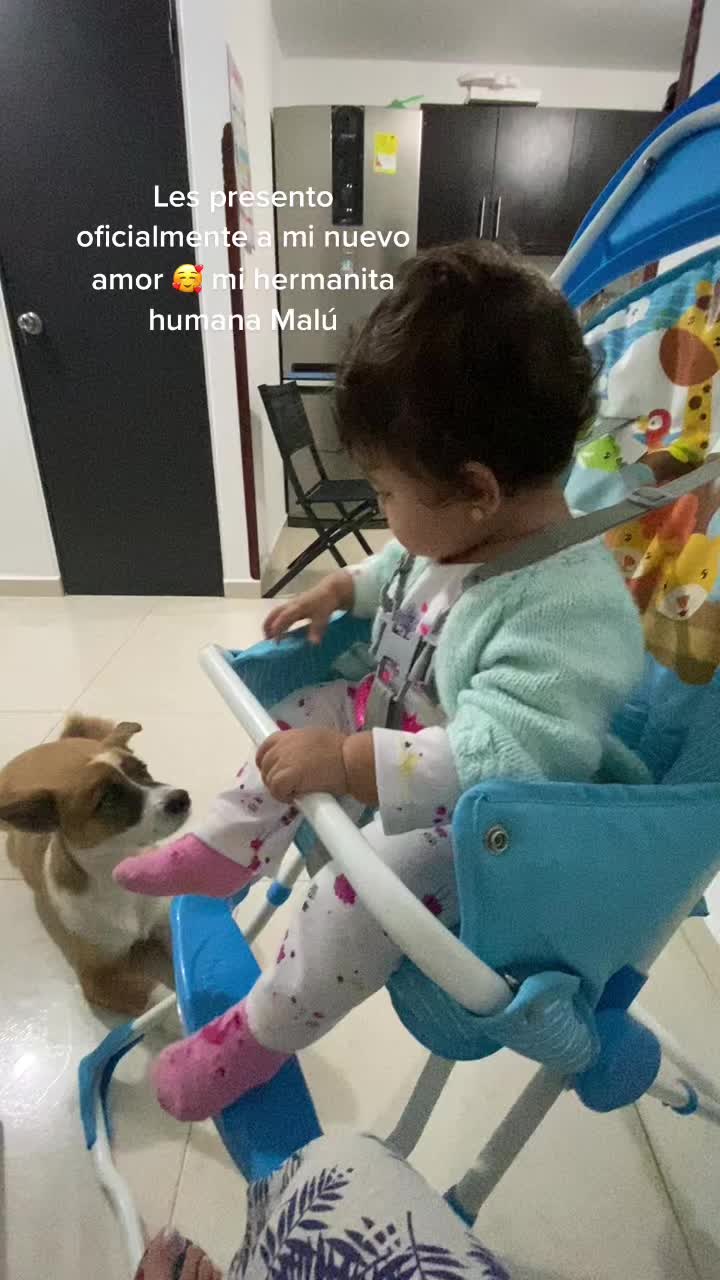 @SAM 🐾🦴
