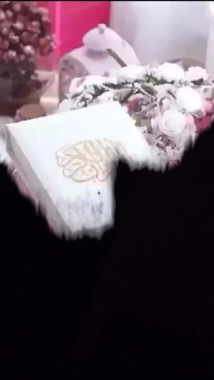 @๐ซ๐ูุงูุดุง ุดูุฎ_๐_ ุฃุตู ุธูุฑ๐๐ซ