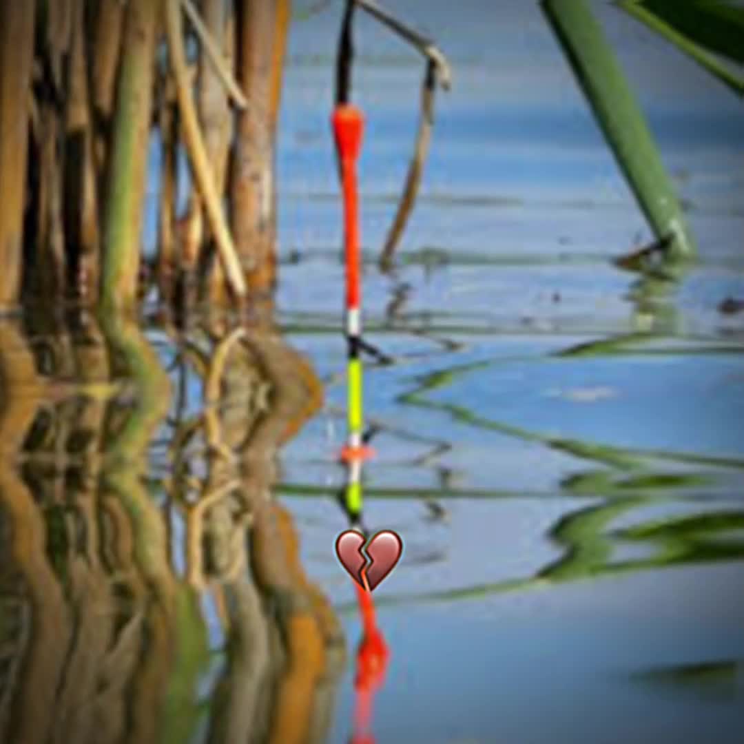 @Я СИТХ-❤