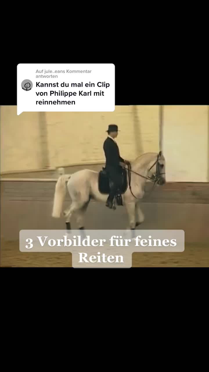 @reiten_ist_kunst