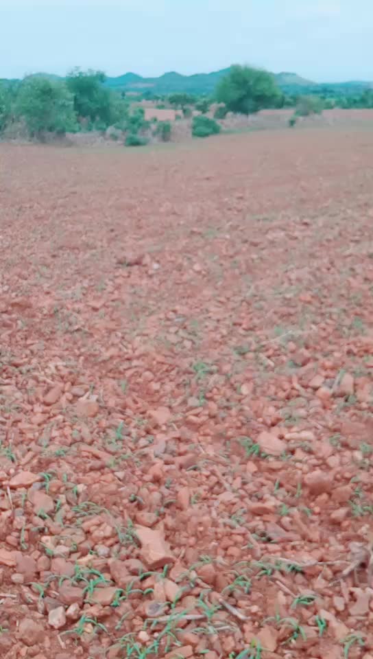 @ಕುರುಬರ ಹುಡುಗ, 🐏🐏💓