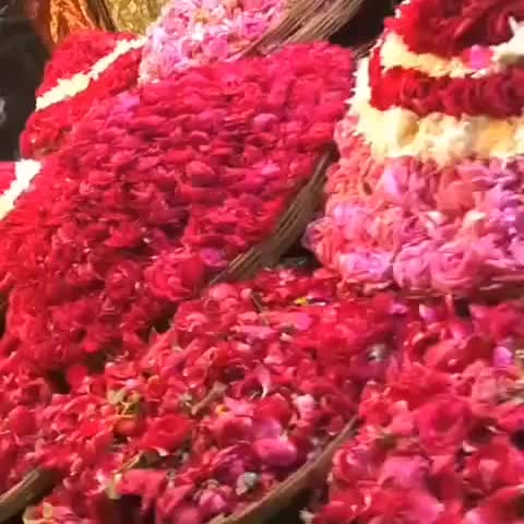 @Juber Ali