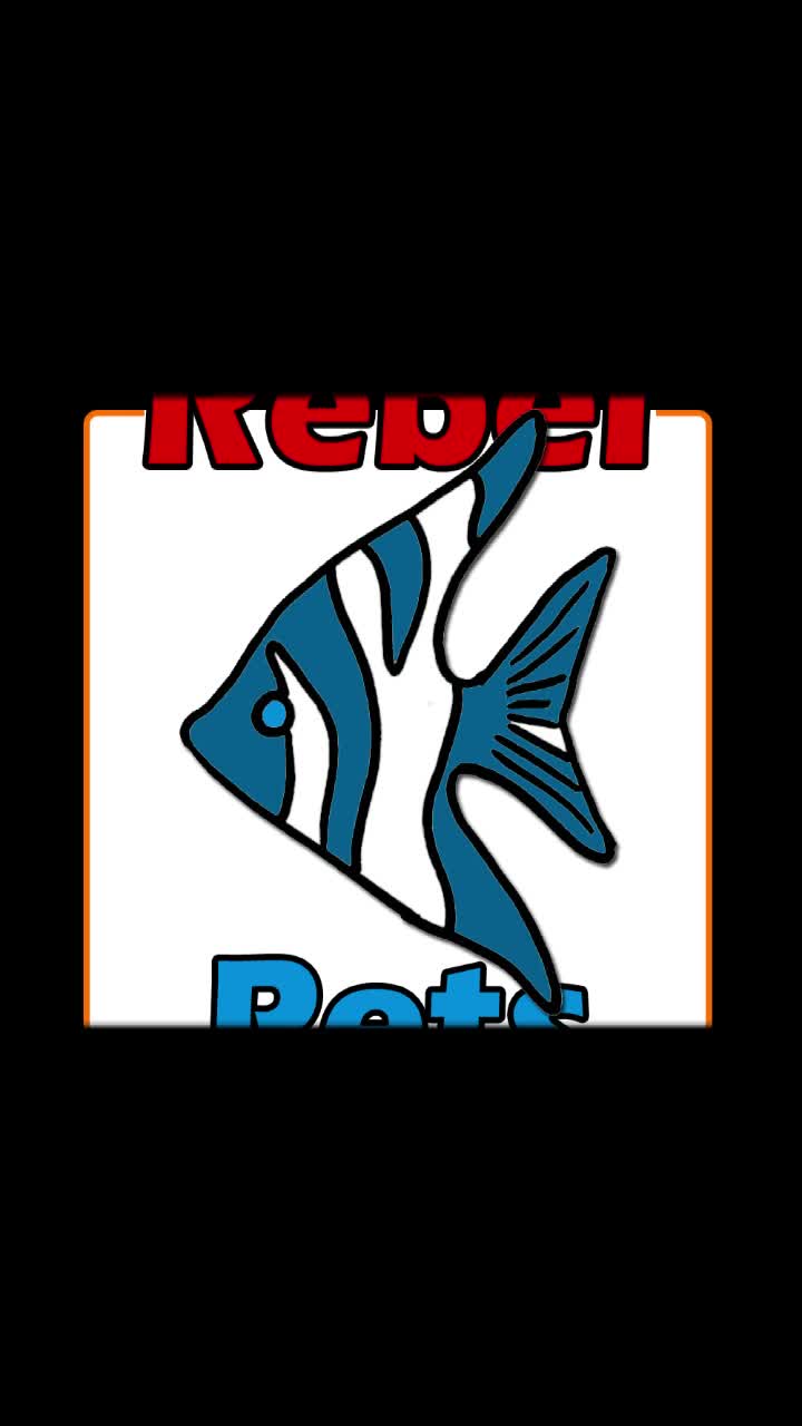 @Rebel Pets 🐠