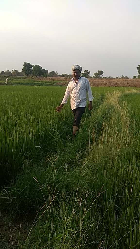 @Mangali Anilkumar