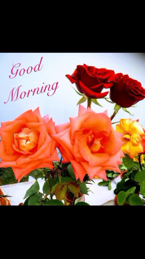 @Poonam Singh