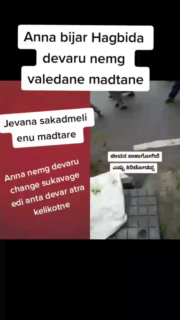 @Pacchi Kolaveri