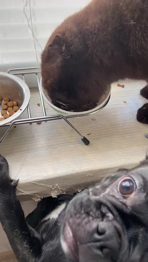 @Яна Самсонова