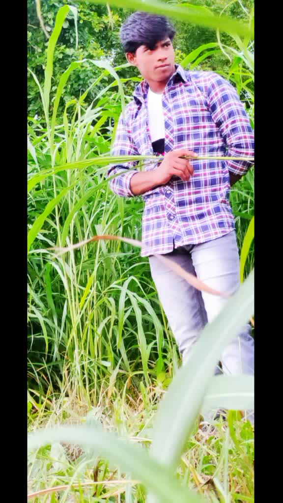 @user7772639375440