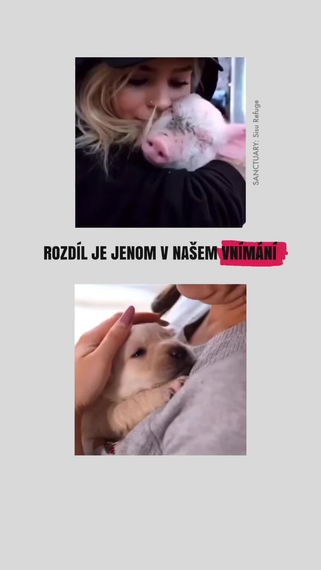 @ULTIMATE.VEGANS
