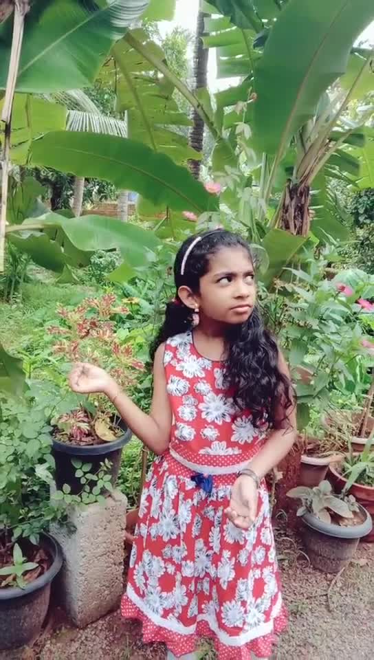 @Rajesh Calicut