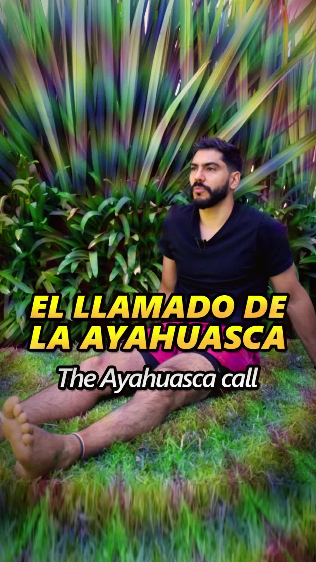 @JC Calzada