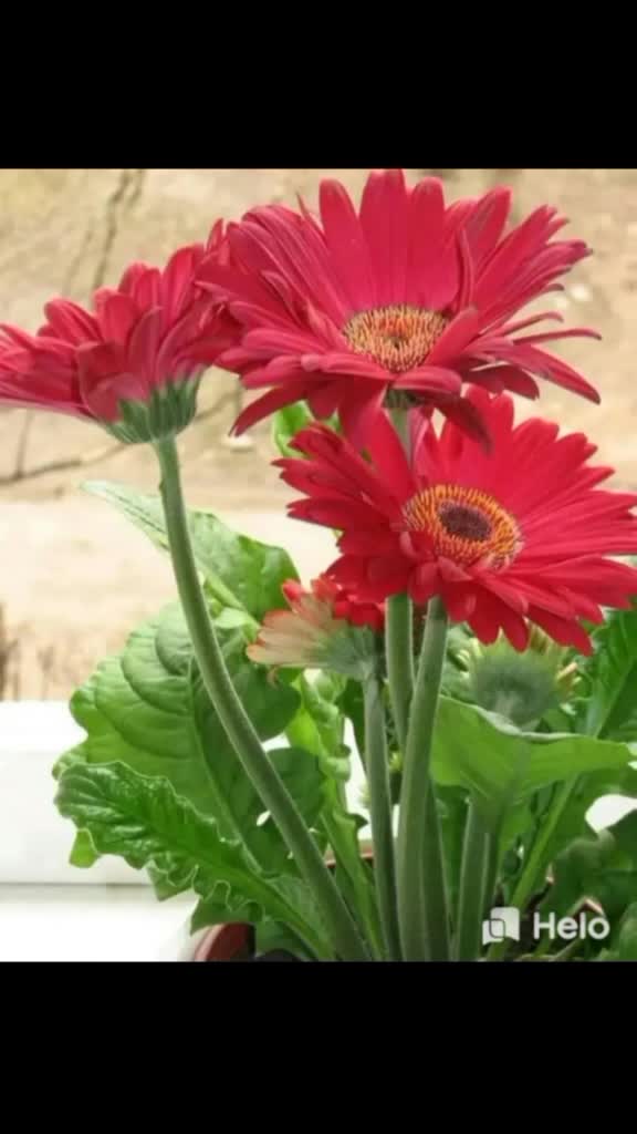 @naveenkailauser88365