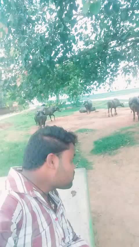 @user prakash parida3