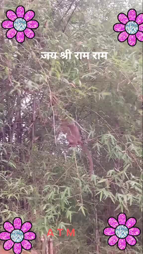 @Smart anil Tekam