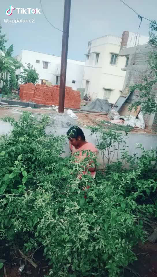 @Ramesh Livi