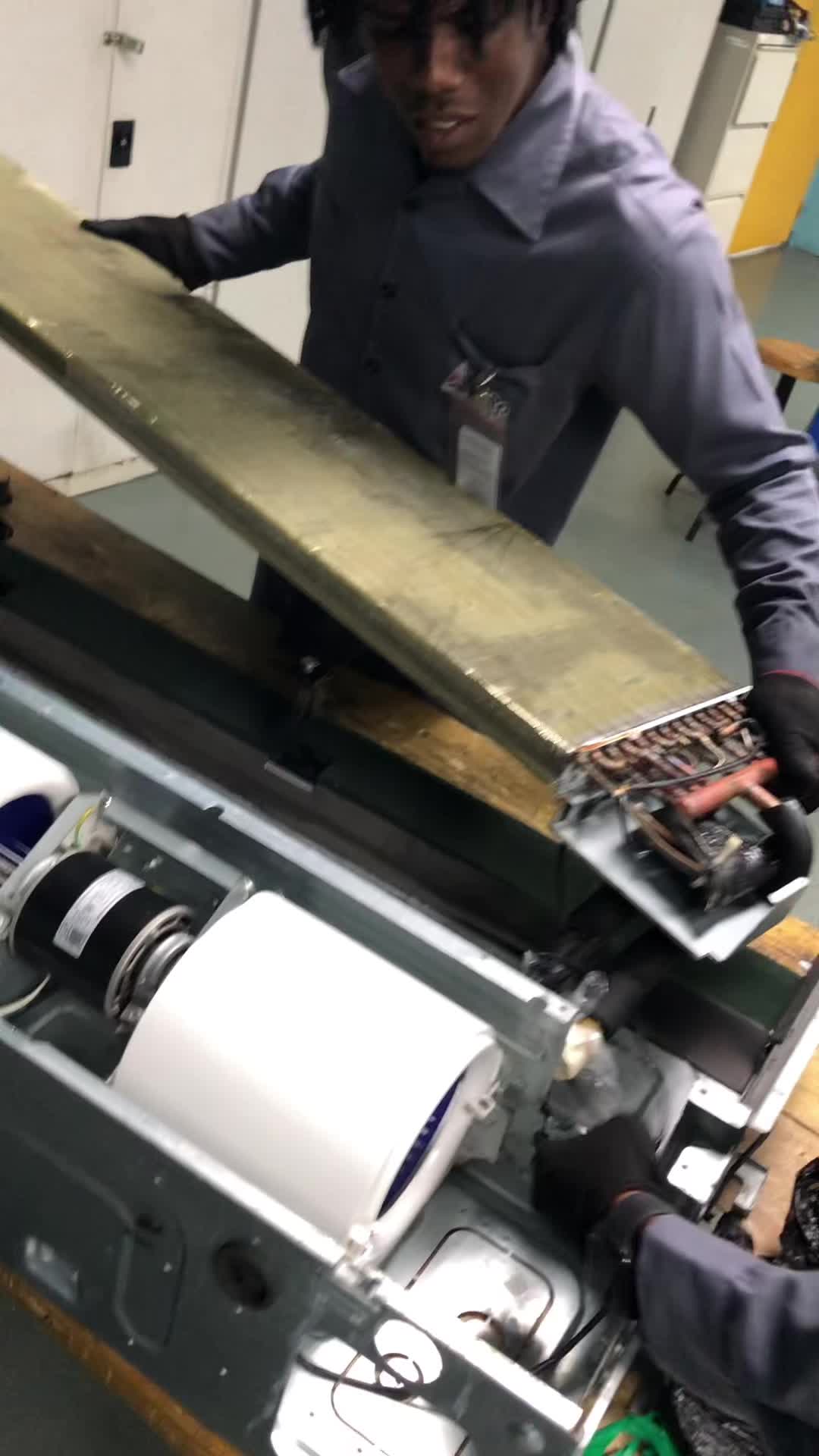 @Young Pip
