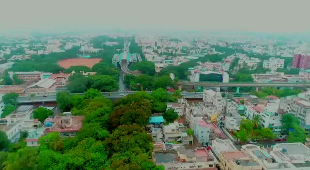 @priyadarshini