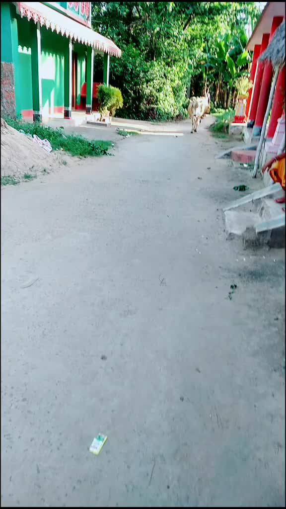 @Sampadana Sarangi Li