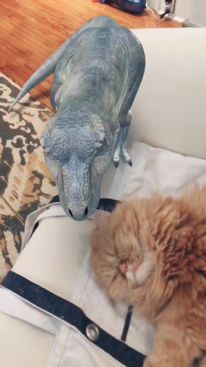 @Nugget the Cat