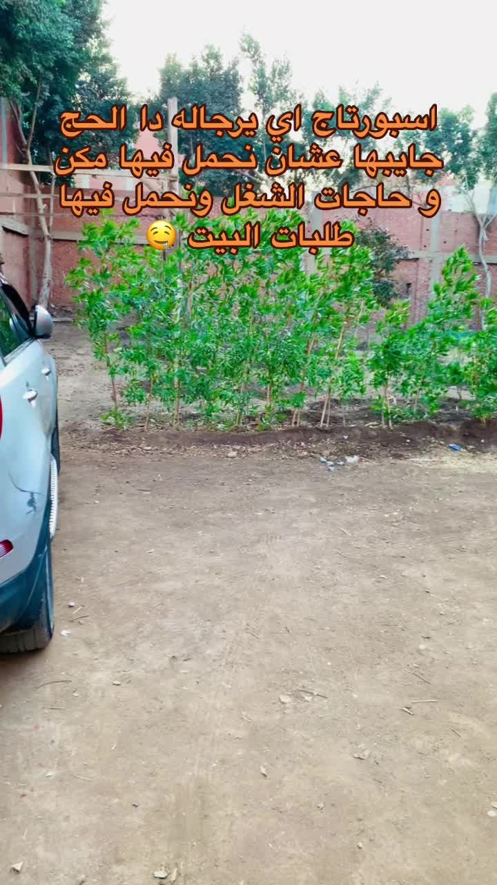 @amin_beeh_