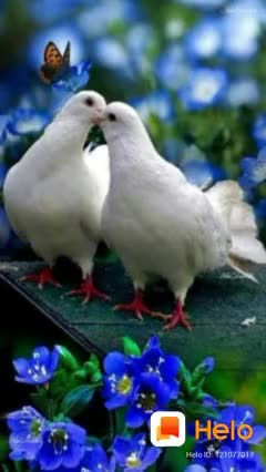 @@chamanthi143