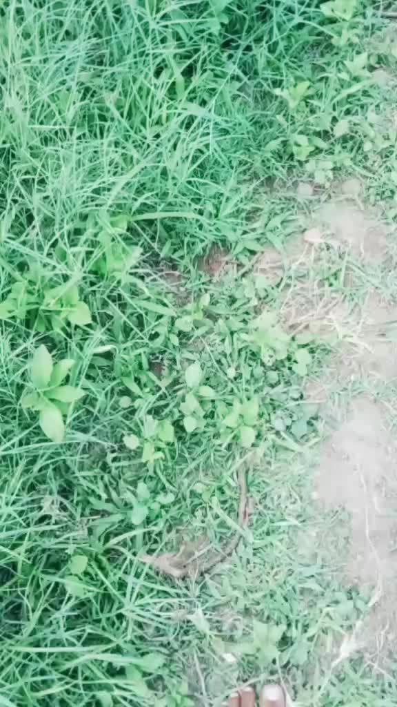 @Samir Sanghar