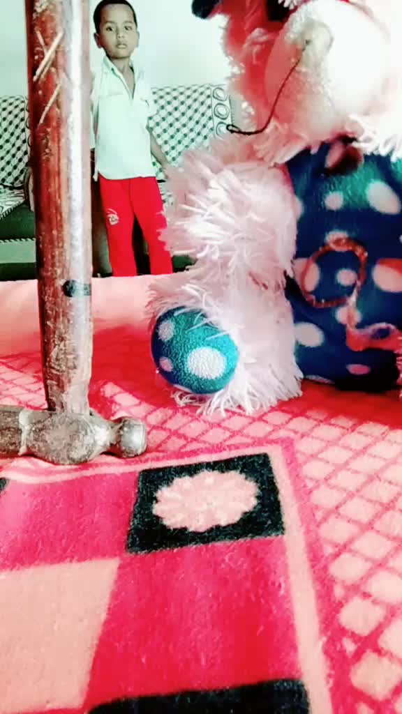 @aarti_bhat75