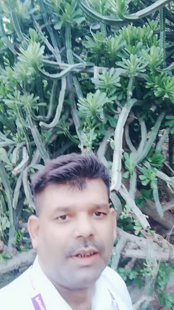 @Gyan Prakash Rai