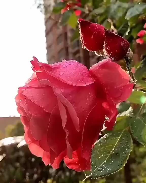@Teena🥰Nehra🥰🥰😘