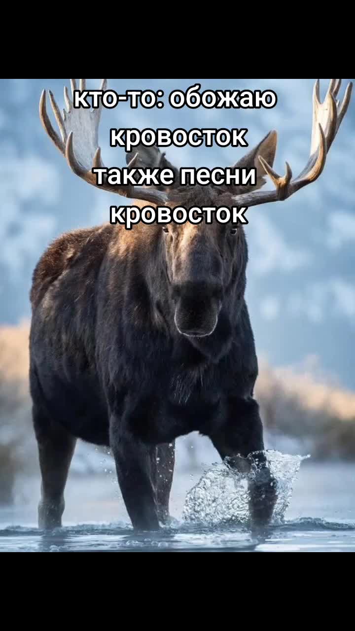 @я не металист