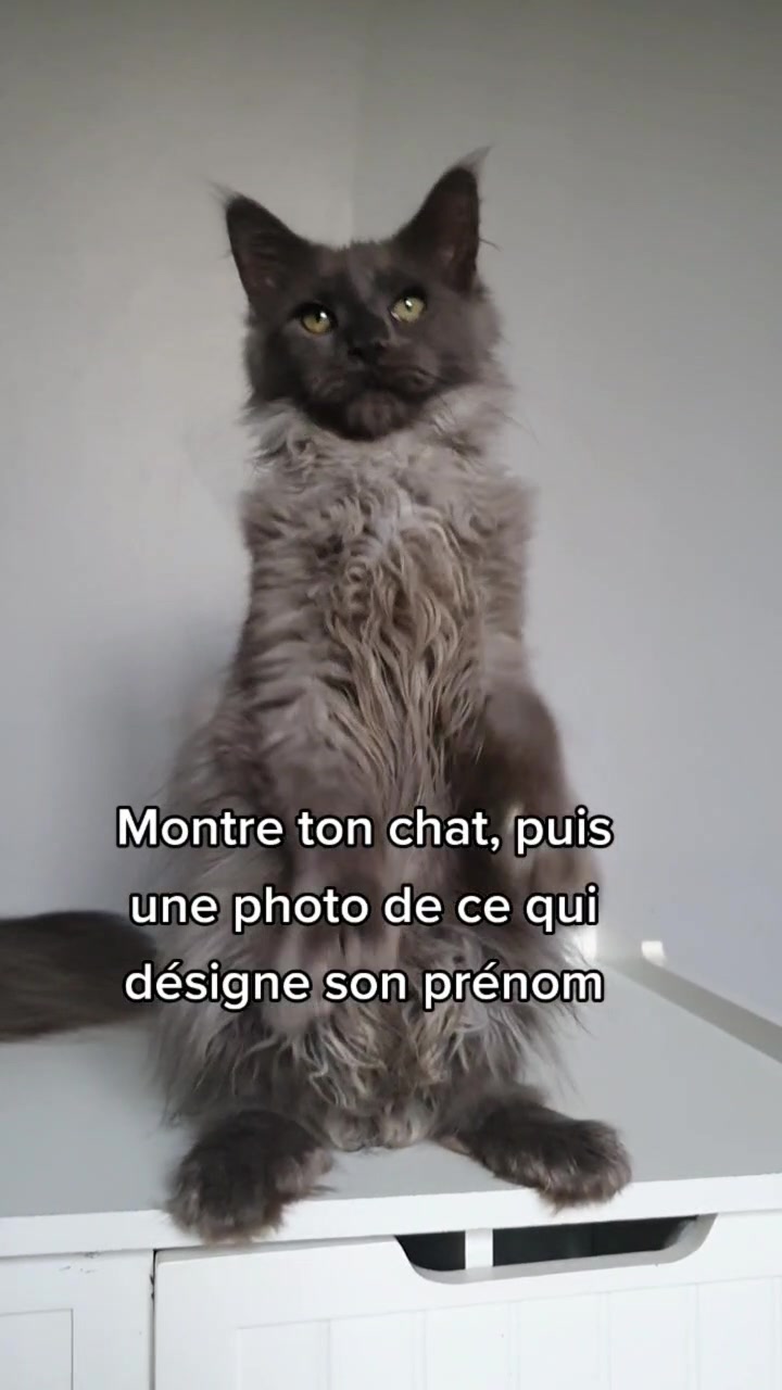 @•Emmanuelle. Éleveuse pro'•