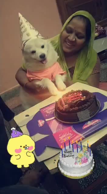 @❤️Mansi Kaur❤️